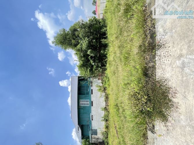 🏡 BÁN ĐẤT ĐẸP TẠI PHÙ LINH – SÓC SƠN, GIÁ CHỈ 1,4 TỶ - 3