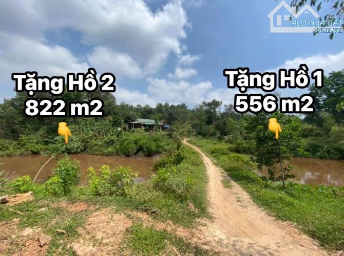 🌿 SIÊU PHẨM ĐẤT RỘNG CẠNH ĐƯỜNG TRÁNH HUẾ – LÀM FARM QUÁ HỢP LÝ 🌿 - 3