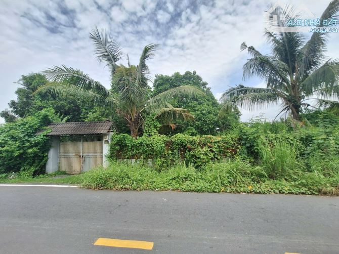 Bán đất mặt đường Bưng Ông Thoàn gần khu công nghệ cao quận 9 cũ (2.096m²) 82 tỷ - 3