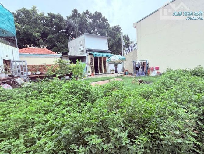 🌺🏡Nhà XƯỞNG 2 MẶT TIỀN đường HT13,phường HT,Q12 dt 260m2 (13x20m) đường 12m - 4