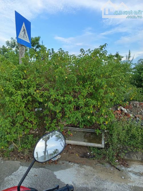 Bán đất đường 5m5 khu tái định cư đường Nam Kì Khởi Nghĩa - 4