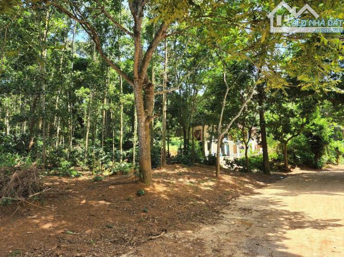Tiếc quá Đất view hồ lung linh 1000m thoáng mát chính chủ cần bán giá chỉ hơn 1 tỉ Lạc Sơn - 4