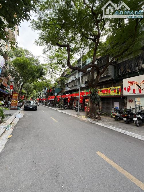 Cực hiếm !Bán nhà phố Cát Linh,Đống Đa 90m 💥đầu tư dòng tiền cực đỉnh  giá 17 tỷ - 4