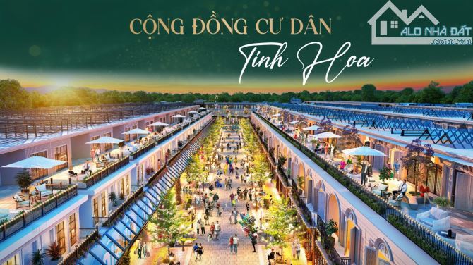 Đầu tư sinh lời – An cư đẳng cấp tại Gói 6 Mỹ Gia (KVG Mozzadiso) - 4