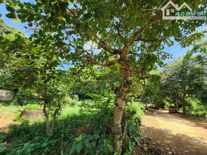 Tiếc quá Đất view hồ lung linh 1000m thoáng mát chính chủ cần bán giá chỉ hơn 1 tỉ Lạc Sơn - 5