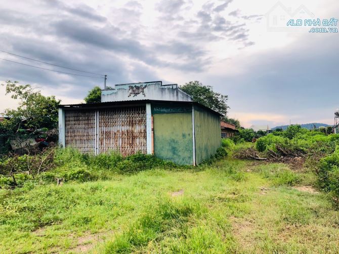 12x67m (805m2) Đường Quốc Lộ 55 Ngay Nút Lên Xuống Cao Tốc Sông Phan Gía rẻ 1 tỷ 2 - 6