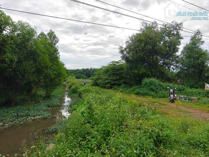 CC005 Cần Bán gấp 4700m2 quy hoạch thổ cư, gần KDL GIANG ĐIỀN. Chỉ còn 4,4 tỷ (tất cả) - 6