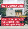 Đất Số 12 Tạ Hiện, TML, Tp Thủ Đức P. Cát Lái Tp HCM