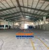 Kho Toàn Phát – Kho lưu trữ an toàn cho hàng hóa giá trị