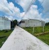 CHỦ KẸT TIỀN BÁN GẤP LÔ ĐẤT 140M2-XÂY TRỌ-GẦN CHỢ MỸ HẠNH NAM-GIÁ TỐT
