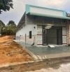 Chủ nhà kẹt tiền cần bán gấp dãy trọ 5 PHÒNG+ 1KIOT Ở Trãng Bàng Tây Ninh