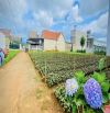 CHỈ HƠN 3 TỶ CÓ NGAY LÔ ĐẤT 280M2 NGAY NASA - ĐỨC TRỌNG - LÂM ĐỒNG
