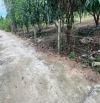 Cần bán 1000m2 full thổ cư , hai Mặt tTền trước sau, tại xã Suối Tiên cũ