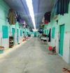 Bán dãy trọ gần ngã tư Tân Quy xã Trung An Củ Chi TPHCM, DT: 10x38m.