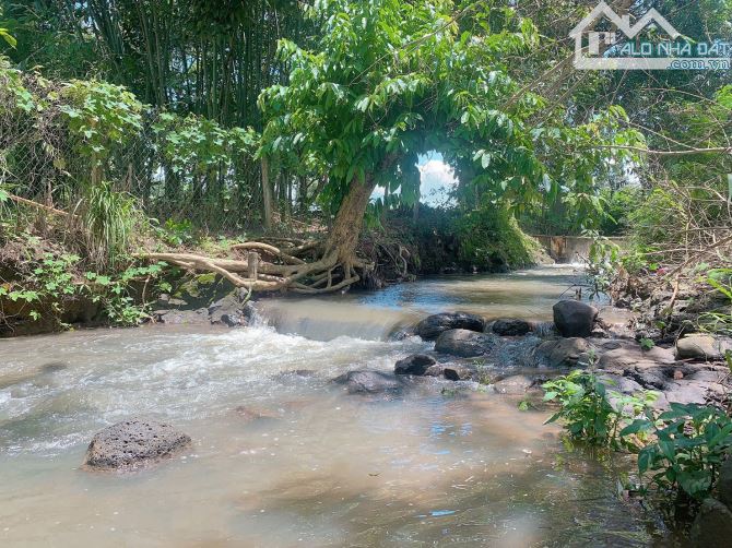 Bán khoảng 3 sào 3 (3308m2) đất xã Đá Bạc, huyện Châu Đức, BRVT.