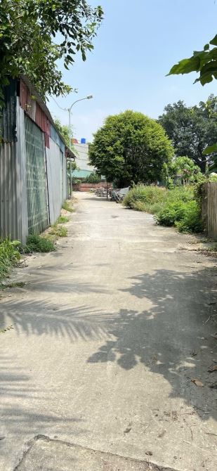 Bán đất Cẩm Giàng đồng nguyên dt 100m mt 8m hướng tn giá 5.1 tỷ