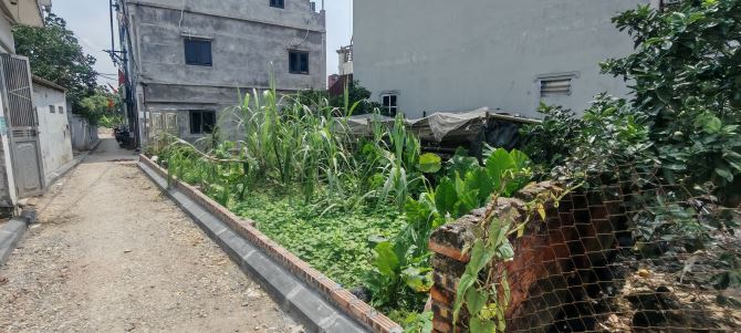 BÁN ĐẤT MAI LÂM-ĐÔNG ANH- LÔ GÓC DT 55M2–MT 4.2M-8.32TỶ CÓ THƯƠNG LƯỢNG - 1