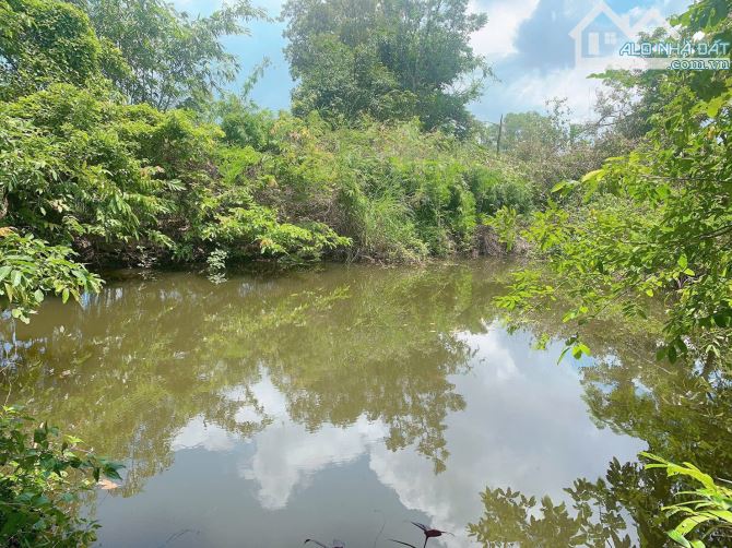 Bán khoảng 3 sào 3 (3308m2) đất xã Đá Bạc, huyện Châu Đức, BRVT. - 1