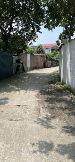 Bán đất Cẩm Giàng đồng nguyên dt 100m mt 8m hướng tn giá 5.1 tỷ - 1