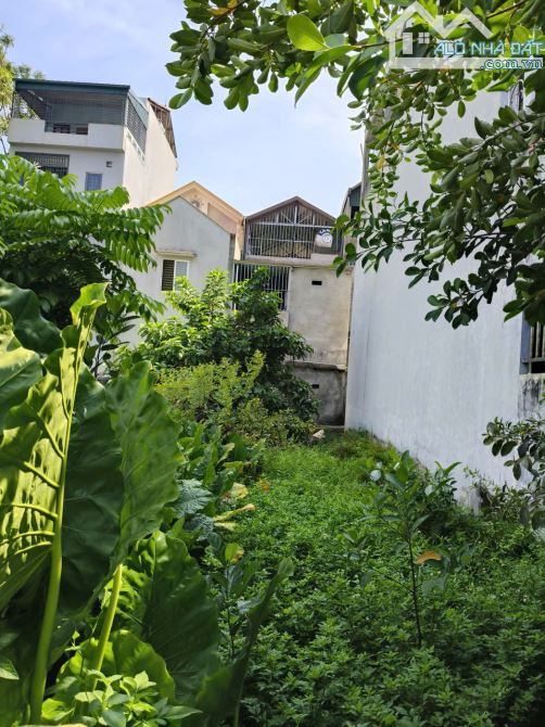 Bán thổ cư TT Tây Đằng, DT100m2, MT5m, 2 mặt thoáng, 4 tỷ Ba Vì - 1