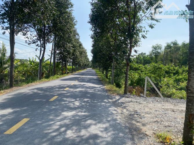 2880 M2 đất MT đường nhựa (300m2 thổ cư) tại Ấp 10, Xã Đức Hòa, Bến Lức, Long An - 1