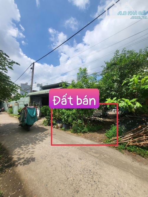 Bán Đất 163.2m2 Trường Thọ Thủ Đức, Nở Hậu, Hẻm Xe Hơi, Giá Chỉ 43 Triệu/m2  * - 1