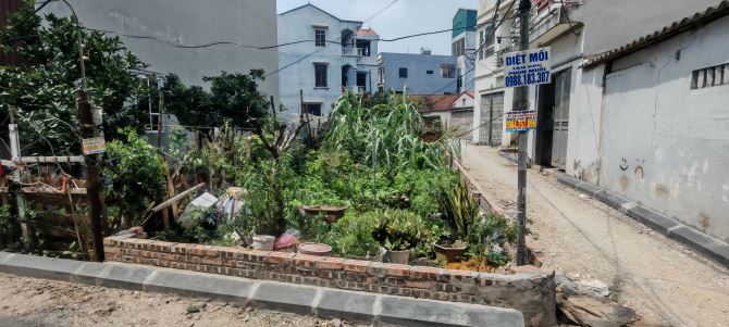 BÁN ĐẤT MAI LÂM-ĐÔNG ANH- LÔ GÓC DT 55M2–MT 4.2M-8.32TỶ CÓ THƯƠNG LƯỢNG - 2