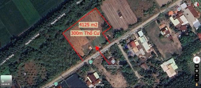 Cần bán đất mặt tiền đường Nguyễn Thị Dạng 4200m2 có 300m2 thổ cư - 2
