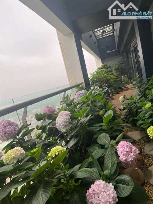 BÁN GẤP CĂN HỘ PENTHOUSE PHỐ YÊN PHỤ- BA ĐÌNH, DT 510M HOÀN THIỆN NỘI THẤT CỰC ĐẸP- VIEW S - 2