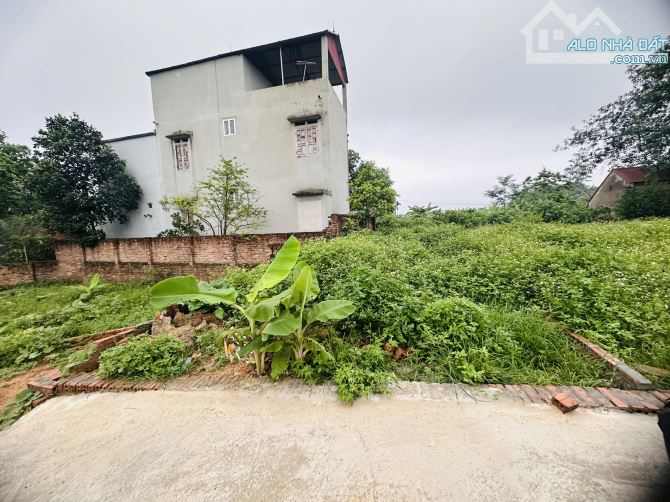 Bán đất Sơn Đoài-Tân Minh cũ nay là xã Sóc Sơn đường thông ô tô giá 2x có như không - 2