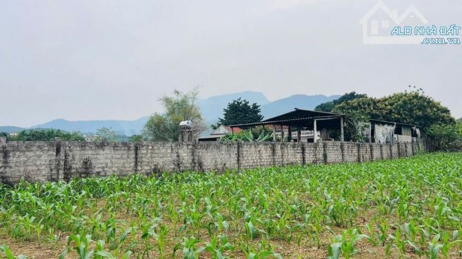 Đất mặt đường 87a (414) 1.515m, Tản Lĩnh, gần UB xã Suối Hai, mt lớn, k.doanh, chỉ 19.2tỷ - 3