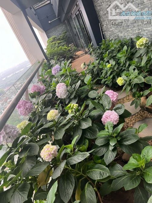 BÁN GẤP CĂN HỘ PENTHOUSE PHỐ YÊN PHỤ- BA ĐÌNH, DT 510M HOÀN THIỆN NỘI THẤT CỰC ĐẸP- VIEW S - 3