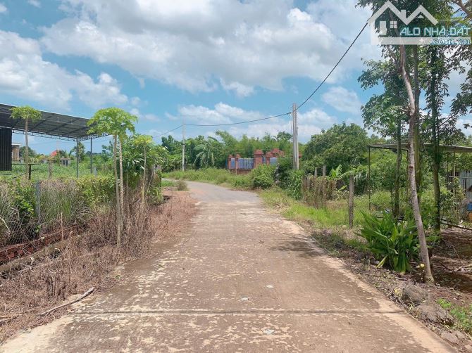 Bán khoảng 3 sào 3 (3308m2) đất xã Đá Bạc, huyện Châu Đức, BRVT. - 4