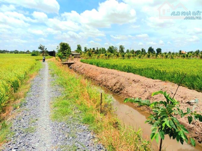 Hàng ngộp, chỉ 500tr sở hữu 600m2 đất vườn View Kênh - 5