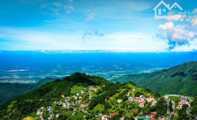 Bán Lô đất trung tâm TT. Tam Đảo khu nghỉ dưỡng sinh thái đẳng cấp 80m mt12m 3,05 tỷ sđcc - 5
