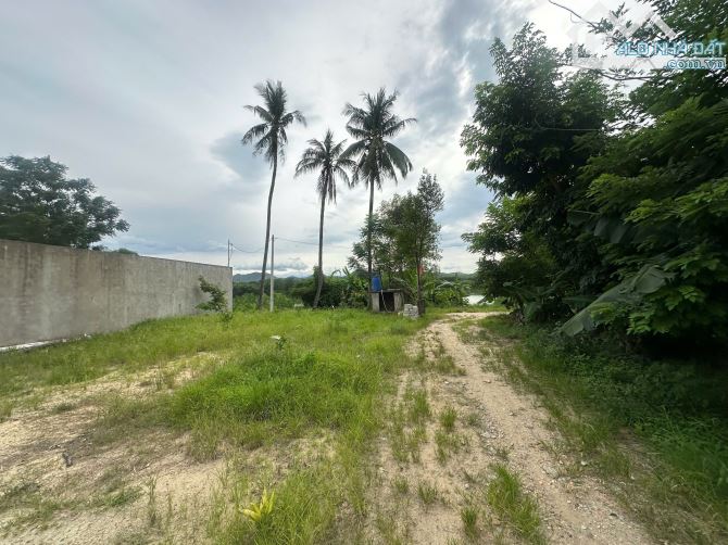 Siêu phẩm đất 1000m2 mặt tiền view sông Hương gần bến Than, Huế - 8