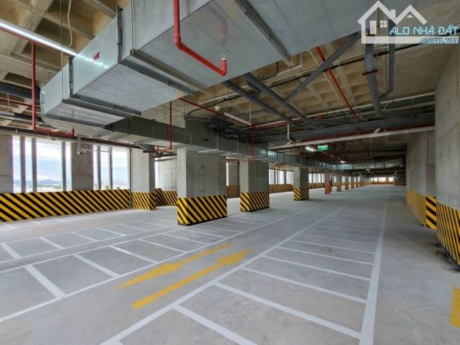 GIỎ HÀNG ECOLIFE CẬP NHẬP THANG 8/2025. CHIẾT KHÂU - 6