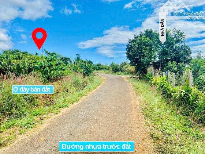 #IAGRAI - GIA LAI #599tr BÁN LÔ ĐẤT ĐẸP 3.500M² – 120M MẶT TIỀN ĐƯỜNG NHỰA LIÊN XÃ – VỊ TR