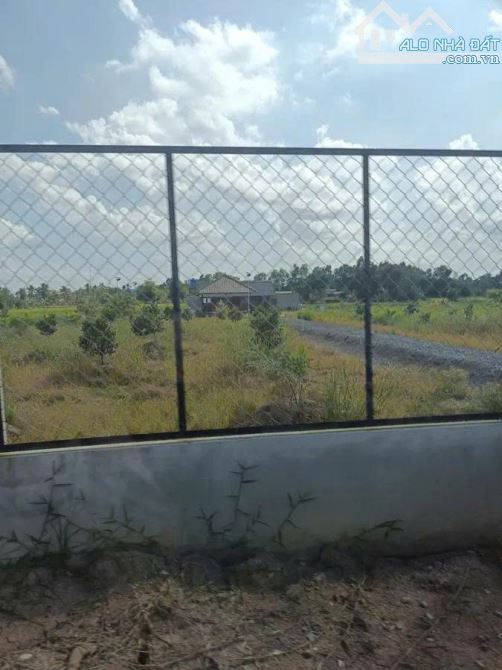 BÁN GẤP ĐẤT THỔ CƯ 700M² NGANG 20M – SÁT TT. ĐÔNG THÀNH, ĐỨC HUỆ, LONG AN