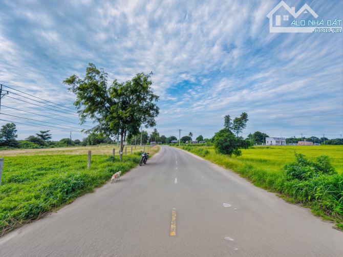 🌿 BÁN ĐẤT - MẶT TIỀN NGUYỄN MINH CHÂU - GIÁ CHỈ 125 TRIỆU/MÉT NGANG ❣️