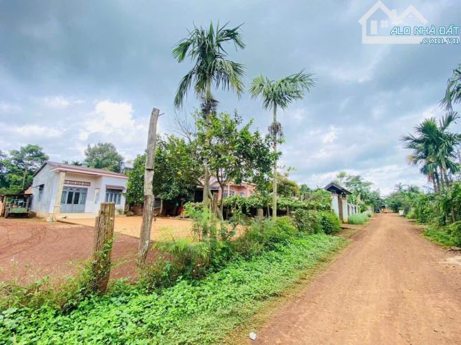 🔥 ĐẤT GIÁ RẺ HÒA THUẬN – CHỈ 590 TRIỆU, CÁCH QL14 CHỈ 400M 🔥
