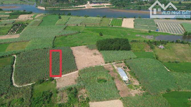 Đất xây nhà vườn hòa bắc, 580m2 có 250m2 đất ở