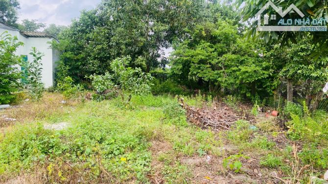 6x28(170m2) 50m2 tc Trưng Trắc Tân An LaGi Giá Đầu Tư