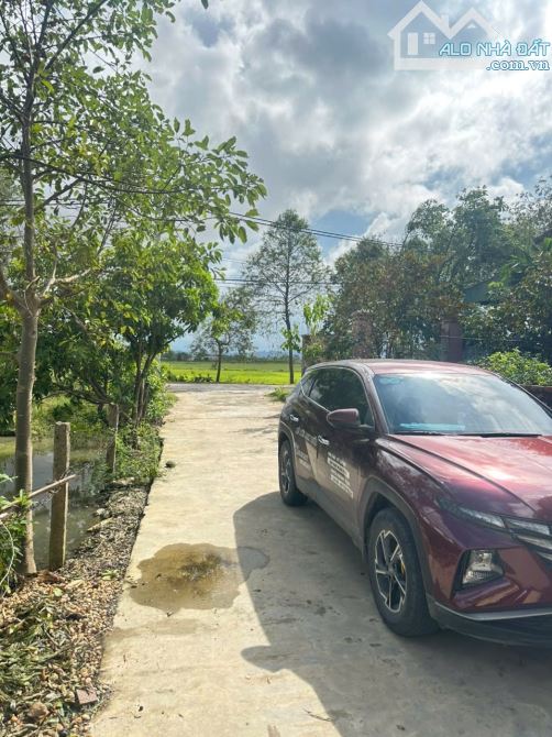 ĐẤT ĐẸP XÓM HỒNG PHONG - HƯNG NGUYÊN NAM - HƯNG NGUYÊN