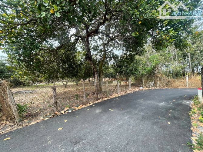 Bán lô đất 498m2  tại xã Hòa Hội– Xuyên Mộc, Bà Rịa Vũng Tàu