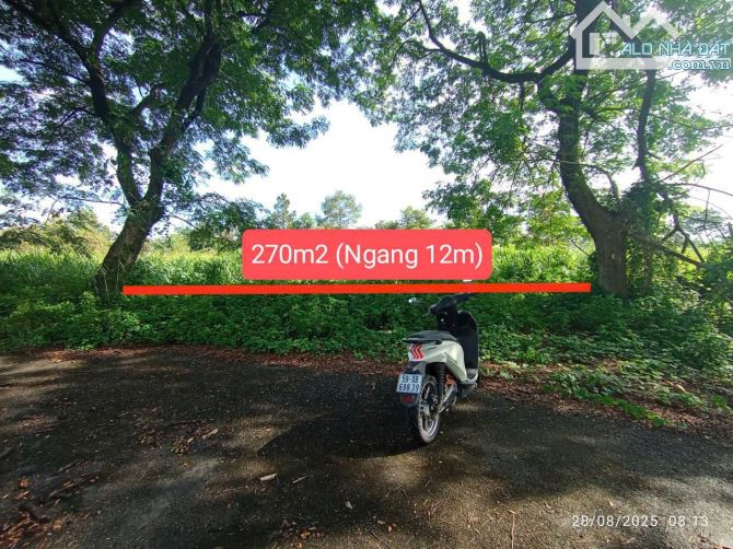 ĐƯỜNG 12M VỈA HÈ - KDC BCR ĐẠI HỌC MỞ - TAM ĐA - QUẬN 9 - ĐẤT 270M2