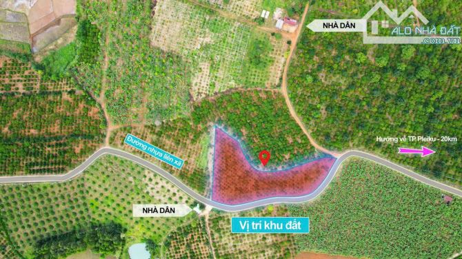 #IAGRAI - GIA LAI #599tr BÁN LÔ ĐẤT ĐẸP 3.500M² – 120M MẶT TIỀN ĐƯỜNG NHỰA LIÊN XÃ – VỊ TR - 1
