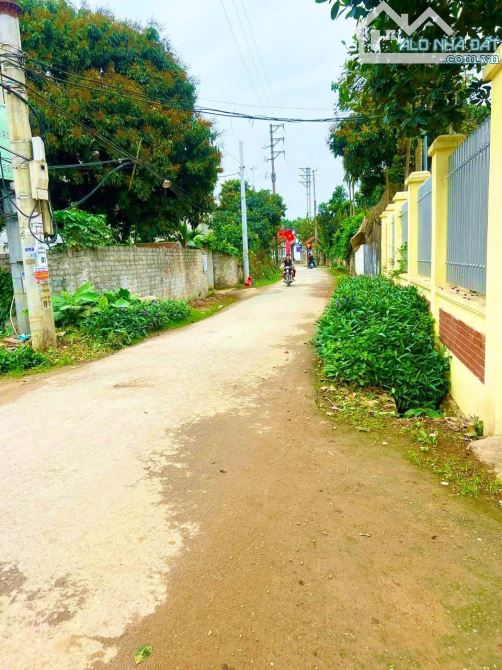 Bán 150m trục chính thôn văn sơn xã trần phú hn cách đường hcm chỉ 60m . - 1