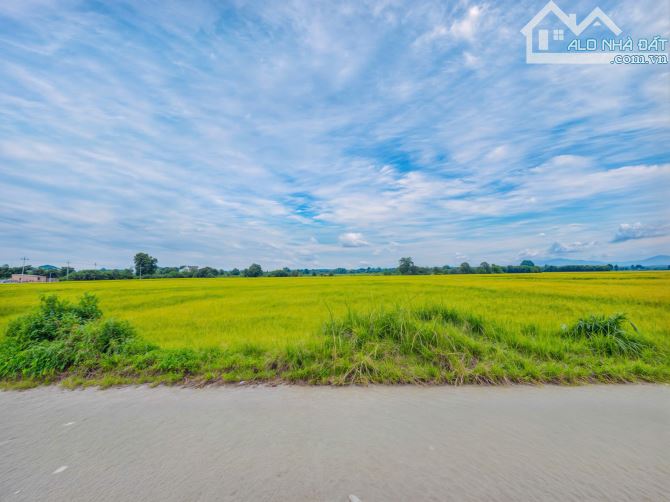 🌿 BÁN ĐẤT - MẶT TIỀN NGUYỄN MINH CHÂU - GIÁ CHỈ 125 TRIỆU/MÉT NGANG ❣️ - 1