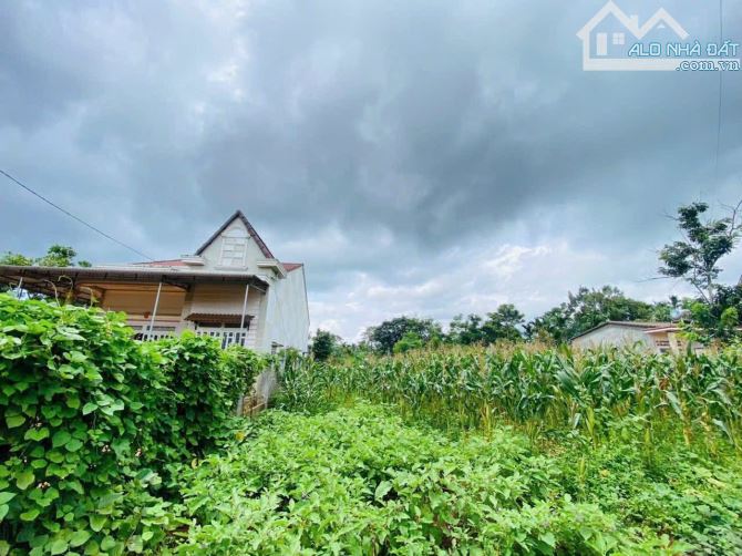 🔥 ĐẤT GIÁ RẺ HÒA THUẬN – CHỈ 590 TRIỆU, CÁCH QL14 CHỈ 400M 🔥 - 1